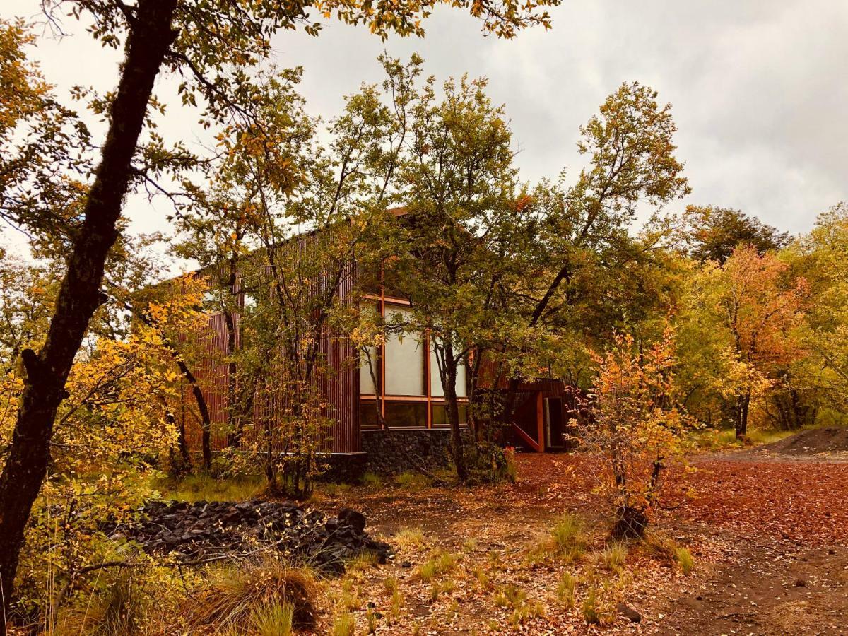 Chalet Cipres Valle Las Trancas Exterior foto